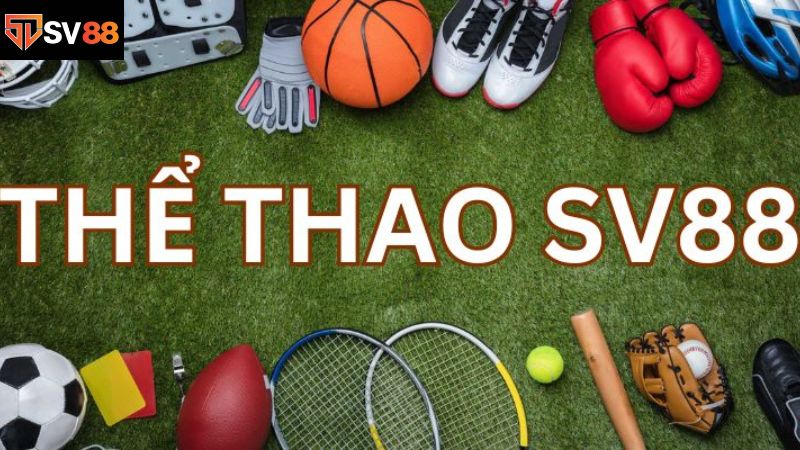 Sảnh thể thao đảm bảo trải nghiệm tuyệt vời